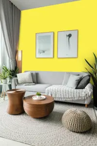 Leyland Trade Vinyl Soft Sheen Walls & Ceilings Emulsion Paint Sulfur Yellow (RAL 1016) - 5L