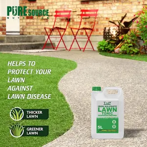 Iron Sulphate 10Litres Makes Grass Greener, Hardens Turf and Prevents Lawn Disease Makes upto 210L & Covers upto 100m2 by