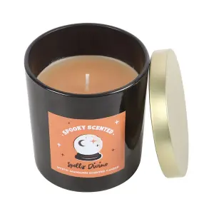 Something Different Spells Divine Mystic Mandarin Scented Candle Orange/Black (One Size)