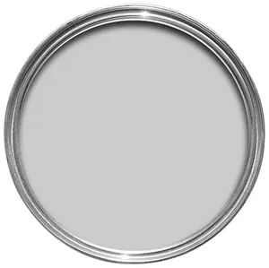 Rust-Oleum Painter's Touch Silver effect Gloss Multi-surface paint, 20ml