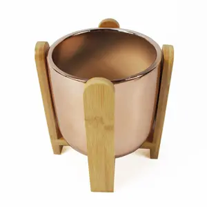 16cm Gold Ceramic Planter with Bamboo Stand