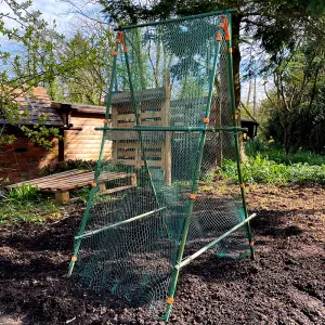 Cucumber Trellis & Pea Support Frame for Heavy Climbing Plants - 0.75m x 0.75m x 1.4m H