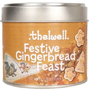 Hy Thelwell Collection Festive Gingerbread Feast Candle Brown (One Size)