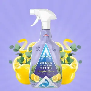 Astonish Window & Glass Cleaner, 750 ml (Pack of 6)