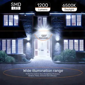 LED Floodlight, Frameless, with faster connector 10W, 1200 Lumens, IP65, Day Light 6500K