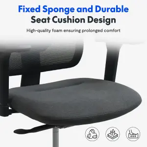 FlexiSpot Breathable and Comfortable Ergonomic Office Chair with Lumbar Support in Black