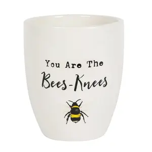 White Ceramic Indoor Plant Pot "You Are the Bees-Knees" text. Gift Idea. (Dia) 11.5 cm