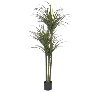 Artificial Plant DRACAENA ANITA Green