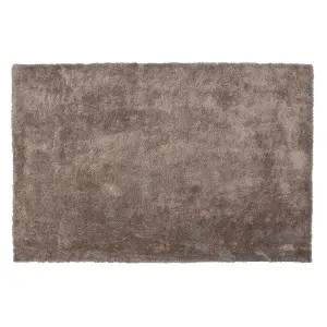 Shaggy Area Rug 140 x 200 cm Light Brown EVREN