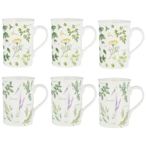 Price & Kensington Set of 6 Garden Herbs Dill & Lavender Mug 300ml