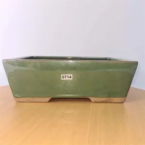 25cm Glazed Bonsai Pot - Rectangle - 25cm x 18cm x 9cm - Green