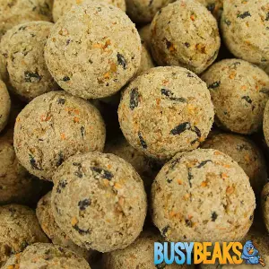 2.5L x BusyBeaks Suet Fat Balls - High Energy Feed Wild Garden Bird Food Treats