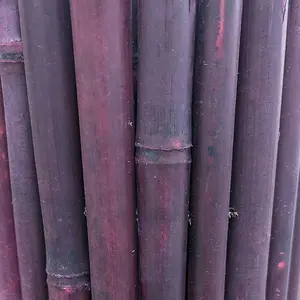 Purple Premium Thick Bamboo Cane Fencing Screening Rolls 1.9m(L) x 1.2m(H)