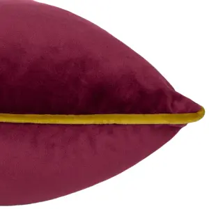 Paoletti Meridian Velvet Feather Rich Cushion