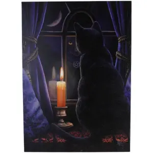 Lisa Parker Midnight Vigil Canvas Multicoloured (Small)