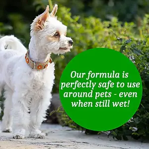 Homefront Organic Patio Cleaner 5L - Pet Friendly Formula & Free From Bleach and Harsh Chemicals