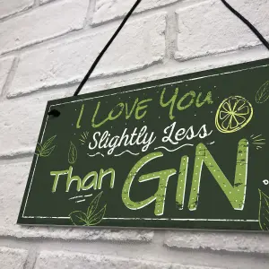 Red Ocean Novelty GIN Friendship Hanging Plaque