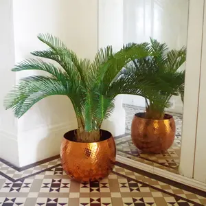 80cm  Cycas Palm Plant Artificial Tropical Tree