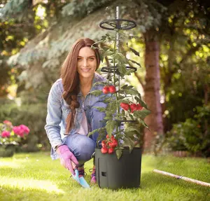 Self-watering Tomato Pot, trough, planter - extendable trellis - with Vermiculite - 290mm dia, 1090mm tall, 14L