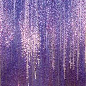 Grandeco Cascading Wisteria Flowers 3 panel repeatable wallpaper Mural, Purple 2.8 x 1.59m