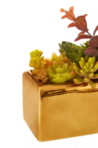 Mixed Succulents Fiori with Ceramic Gold Pot Artificial Plant Foliage