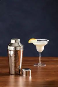 Maison by Premier Recipe Silver Cocktail Shaker