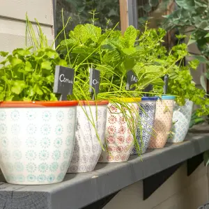 Nicola Spring - Hand-Printed Plant Pots - 14cm - Pack of 3