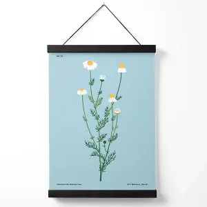 Blue Daisies Flower Market Minimalist Medium Poster with Black Hanger