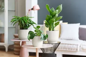 Vibes Round Fold Decor Recycled Material Indoor Garden Balcony Window Container Holder Plant Flower Organizer Pot White 14cm