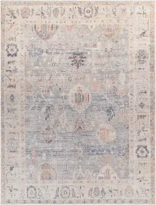 AANSHI Becki Owens x Surya Oriental Vintage Area Rug 117 x 170 cm