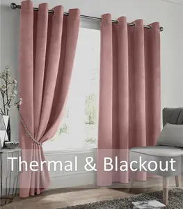 Velvet Blackout 66" x 72" Blush (Ring Top Curtains)