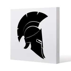 Roman Helmet (Canvas Print) / 127 x 127 x 4cm