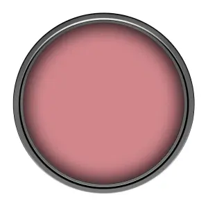 Leyland Trade Vinyl Matt Walls & Ceilings Emulsion Paint Pink Flambe (PPG1186-4) 350ml Tester