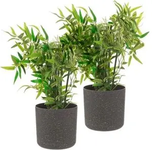 Livivo Indoor Plant Pots - Set Of 2, 18cm