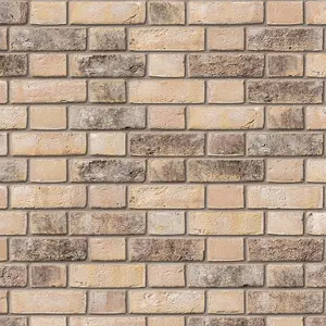 Ibstock Ivanhoe Cream Brick 65mm Mini Pack 250