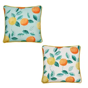 Botanical Fruits Outdoor Water & UV Resistant Filled Cushion