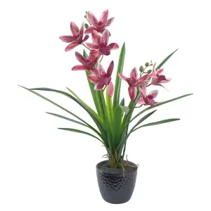 50cm Dark Pink Artificial Orchid in Ceramic Planter