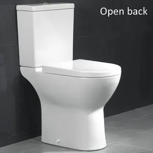 Vitra S50 rimless close coupled pan cistern and standard seat