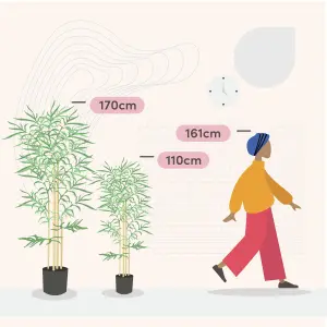 Blooming Artificial - 170cm / 5.5ft Artificial Black Stem Bamboo Tree