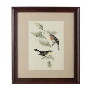 Interiors by Premier Framed Birds 1 Wall Art