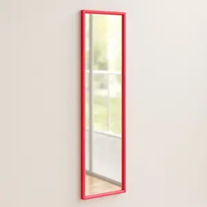 Overdoor Full Length Mirror Pink