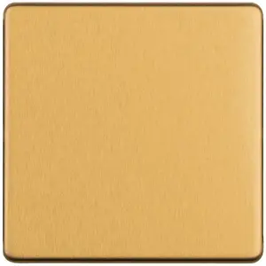 Single SCREWLESS SATIN BRASS Blanking Plate Round Edged Wall Box Hole Cover