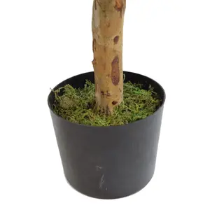 100cm Artificial Dracaena Plant Tree with Pot - Premium Range