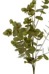 Interiors By Premier Realistic Botanical Green Eucalyptus Spray, Versatile Artificial Flower Stem, Easily Maintained Spray