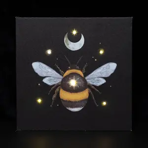 Something Different Forest Bee Light Up Canvas Black/Yellow (One Size)