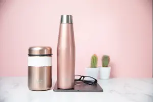 BUILT Apex 2 Piece Insulated Water Bottle & Food Flask Lunch Set, Rose Gold