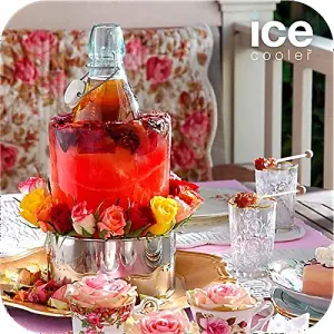 Creative Wine Bottle Self Design Ice Cooler Bucket Made of Natural Ice Set