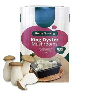 Mushroom Growing Kit King Oyster - Beginner Friendly Ready to Grow Educational Kit - Easy to Use Gardening Gift - Grow Your Own