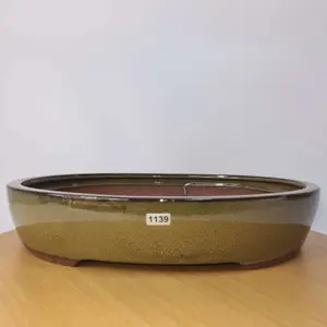 38cm Glazed Bonsai Pot - Oval - 38cm x 31cm x 8cm - Green