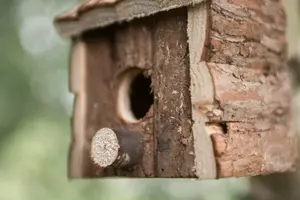 Wild Garden Bird Wooden Nesting Box